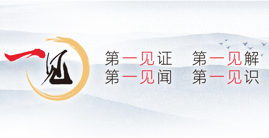 一见